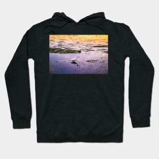 Great egret in marsh at sunset Hoodie